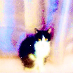 Himnos Sinfónicos Nocturnos II