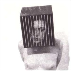 Rose au cœur violet