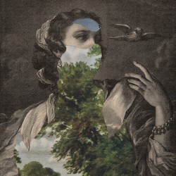 There Is a Flaw in My Iris