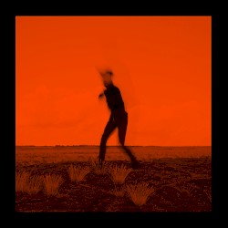 Megafauna (radio version)