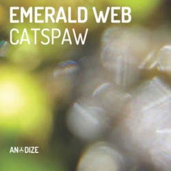 Catspaw