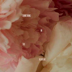 Something in the Heavens