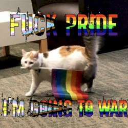 Eradicate the Straight