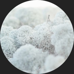 Voices from Past Lives