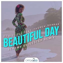 Beautiful Day (Jeremy Sylvester remix)