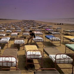 A Momentary Lapse of Reason
