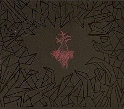 Daughters of Molestia