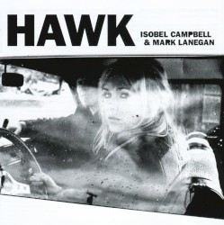 Hawk