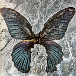 Nymph_o