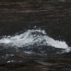Of Form and Formlessness