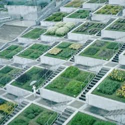 バーチャル ＢＯＴＡＮＩＳＴ