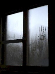 Darkest Memories of a Distant Realm