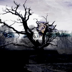 Here in the Wasteland, a Dead Tree Stands Guard. The Flowers No Longer Bloom, but the Stars Still Shine Bright at Night.