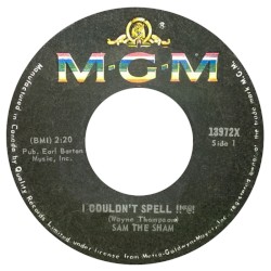 I Couldn't Spell !!*@! ∕ The Down Home Strut