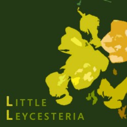 Little Leycesteria
