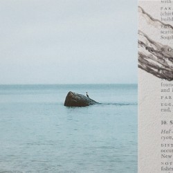 from here, out there (DELUXE)