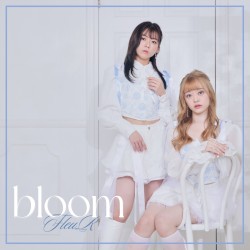 bloom