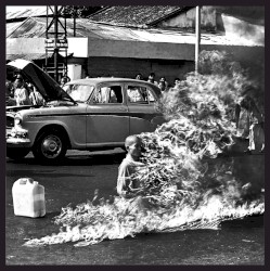 Rage Against the Machine XX