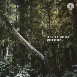 When a Tree Falls…