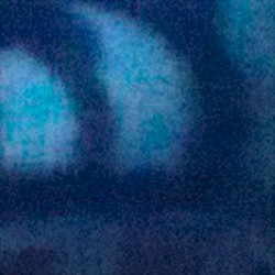 roswell in the round