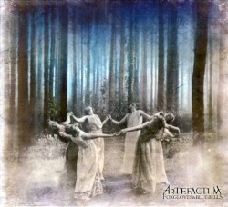 Foxgloves & Bluebells