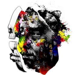 The Hökarängen Space Program