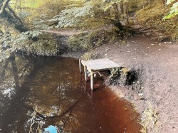 I Felt The Wind Shift South