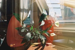 This Sounds Nothing Like Tonight