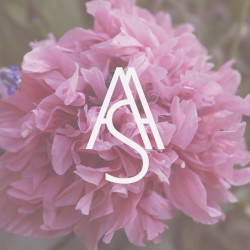 [untitled]