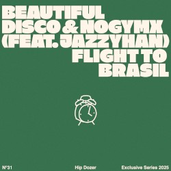 Flight to Brasil