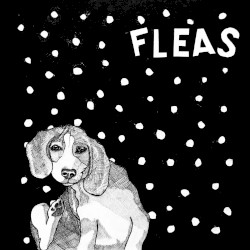 Fleas