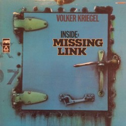 Inside: Missing Link