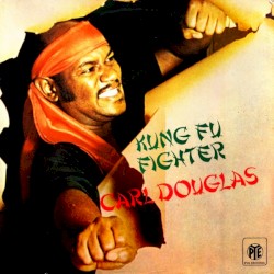 Kung Fu Fighter