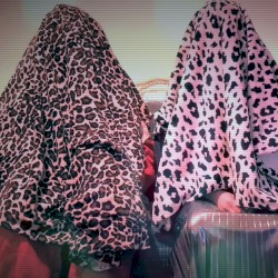 (Everyone Wants) A Fight For Christmas