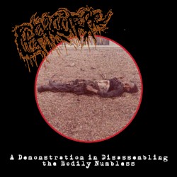 A Demonstration in Disassembling the Bodily Numbless