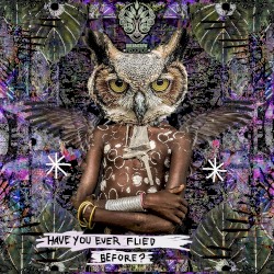 Have You Ever Flied Before?