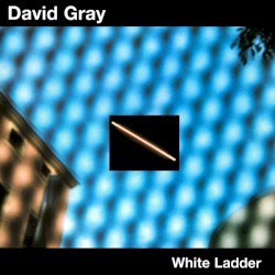 White Ladder