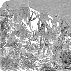 Plague of Frogs