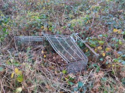 An Album About a Shopping Trolley
