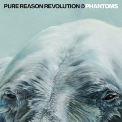 Phantoms