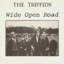 Wide Open Road