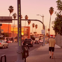 String Boys Bring Toys