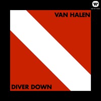 Diver Down
