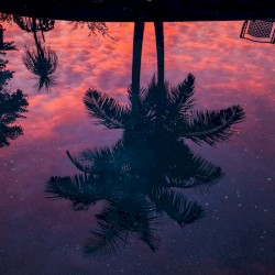 Secrets of the Night