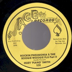 Rockin Pneumonia & the Boogie Woogie Flu