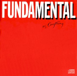 Fundamental as Anything