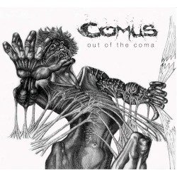 Out of the Coma
