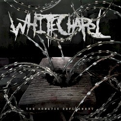 The Somatic Defilement