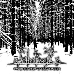 Coups D'ailes Cathartiques / Vestiges