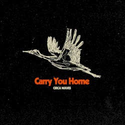 Carry You Home
